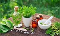 باورهای غلط درباره طب سنتی؛ چرا گیاهان دارویی هم می‌توانند آسیب‌زا باشند؟